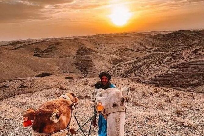 Agafay Marrakech dinner show with quad bike and camel ride - Agafay Desert Is Not Sahara Sand, and That’s a Good Thing