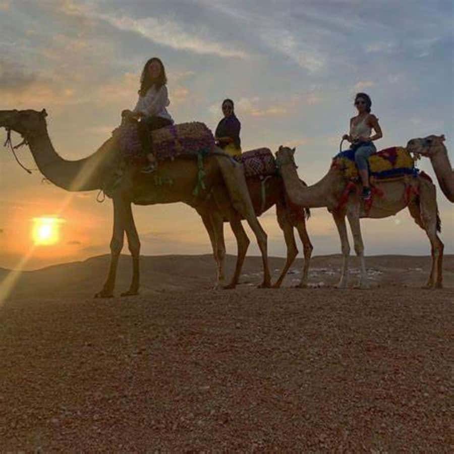 Agafay: Quad, Camel Ride & Dinner Show from Marrakech - Value and timing: is $22 worth it?