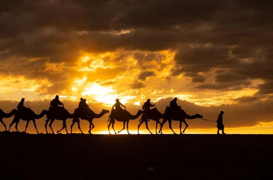 Agafay: Quad, Camel Ride & Dinner Show from Marrakech - Who this Agafay quad, camel & dinner show fits best
