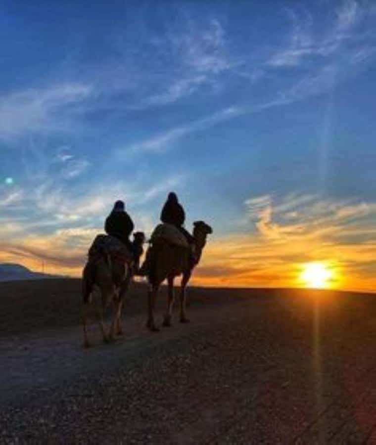 Agafay: Quad, Camel Ride & Dinner Show from Marrakech - Quad biking in Agafay: a 40-minute adrenaline burst with guardrails