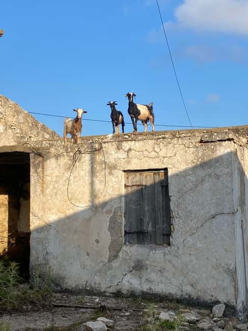 Agia Pelagia: Sunset or Morning Quad Tour & Ghost Town Visit - Fodele Descent to Sea Views: Olive Groves and the 300-Meter Drop