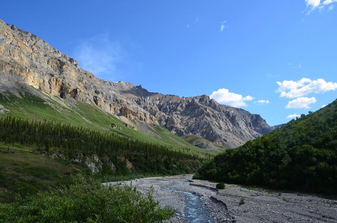 Alaskan Back Country Side by Side ATV Adventure with Meal - Key things to know before you go