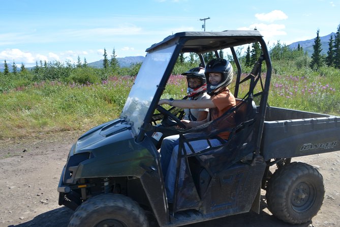 Alaskan Back Country Side by Side ATV Adventure with Meal - Black Diamond Peak: Photo Time, Big Views, And Animal-Spotting Chances