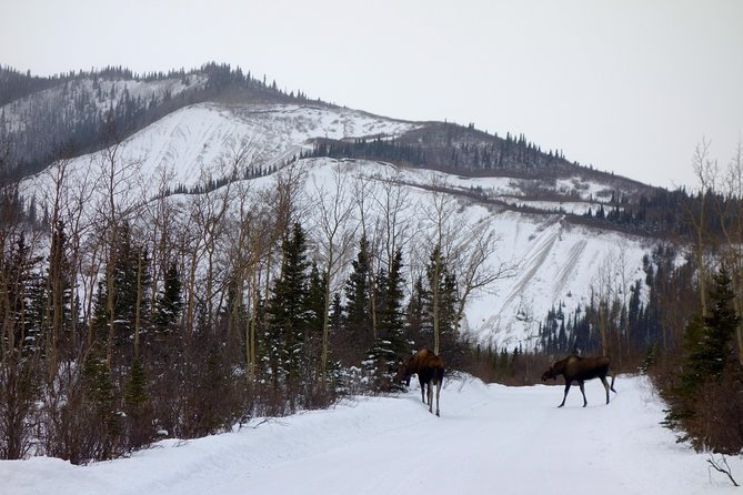 Alaskan Back Country Side by Side ATV Adventure with Meal - Weather, Mud, And Comfort: How To Dress For A Bumpy Day