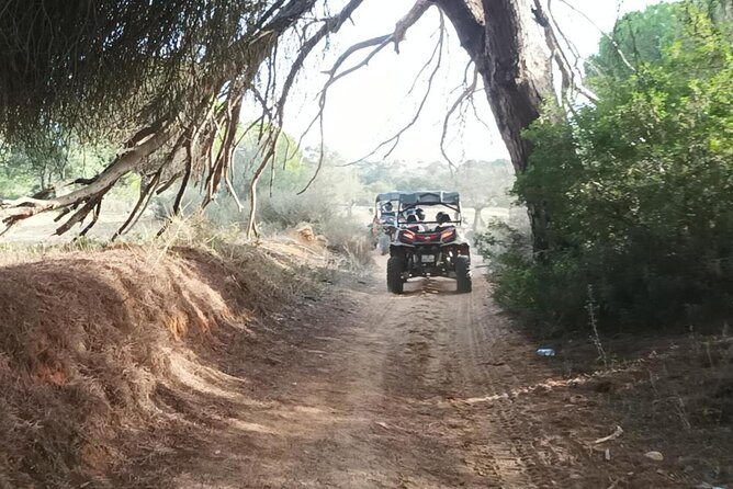 Albufeira 1.5 hour Off-Road Tour Buggy Adventure Tour - Included extras that quietly improve your day