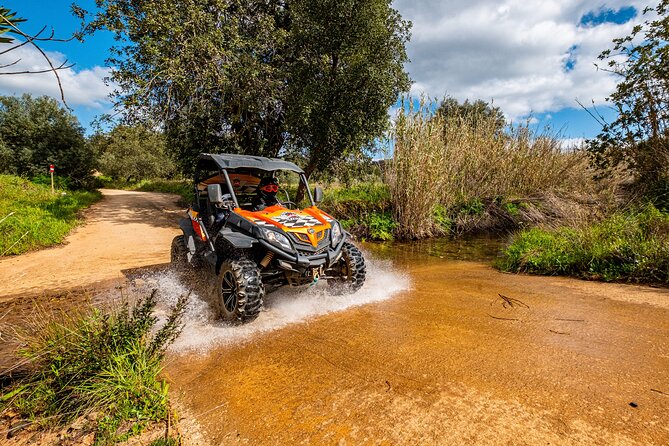 Albufeira: 1.5h Off-Road Buggy Tour - Dirt & Scenic Trails - Who Can Drive: The Full Driver’s License Rule (And Why It Matters)