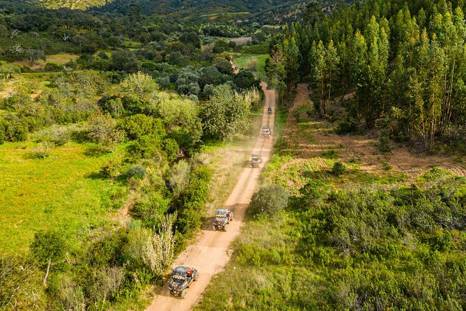 Albufeira: 3-Hour Off-Road Buggy Tour to Hidden Algarve Trails - Stop 1: Paderne Castle—Views Plus Storytelling