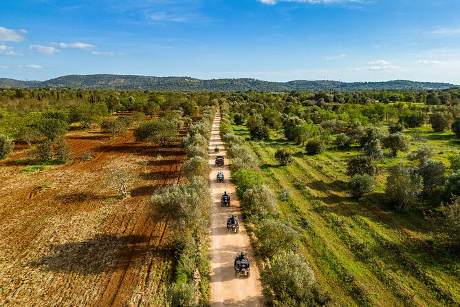 Albufeira 3-Hour Off-Road Quad Tour - The Real Deal on the Quad Bikes: 300cc Power, Real Dirt, and Steep Sections