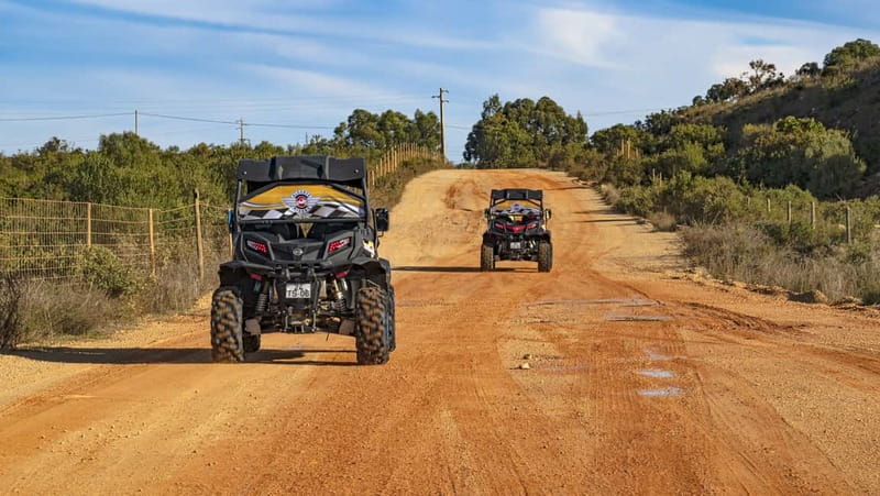 Albufeira: Full Day Off-Road Buggy Tour with Lunch & Guide - Lunch at Quinta do Freixo: Organic Jams and Traditional Food