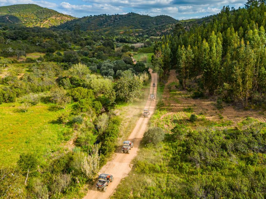 Albufeira: Off-Road Buggy Adventure - Key things to know before you go