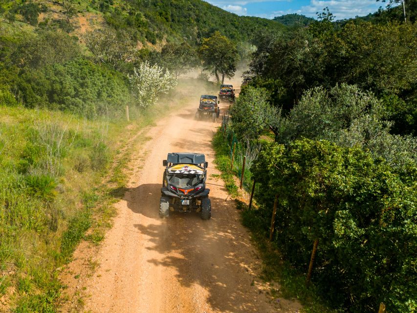 Albufeira: Off-Road Buggy Adventure - Countryside driving you can actually picture