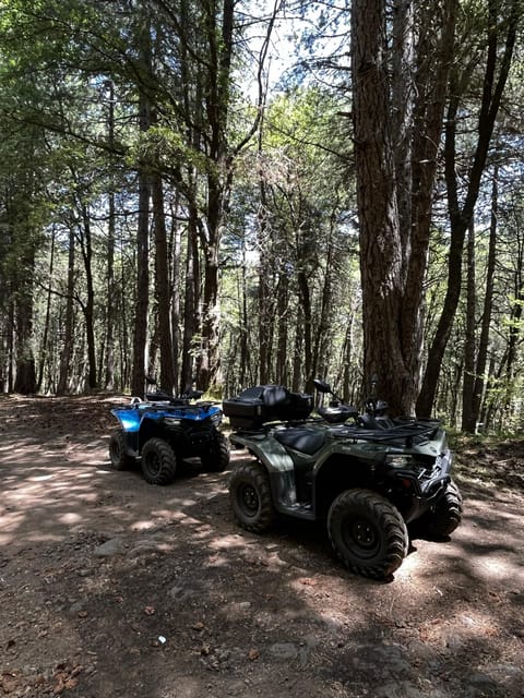 Alcantara: Valley and Gurne dell'Alcantara ATV Adventure - Alcantara Valley ATV: what you’re really paying for