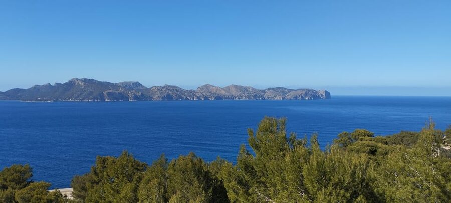 Alcudia: Quad Sightseeing Tour with Viewpoints - Value check: what $100 buys you in real time