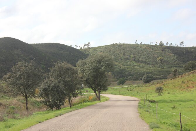 Algarve - The best views from Alvor to Ferragudo by ATV - Price and value: what $59.91 buys you in real time