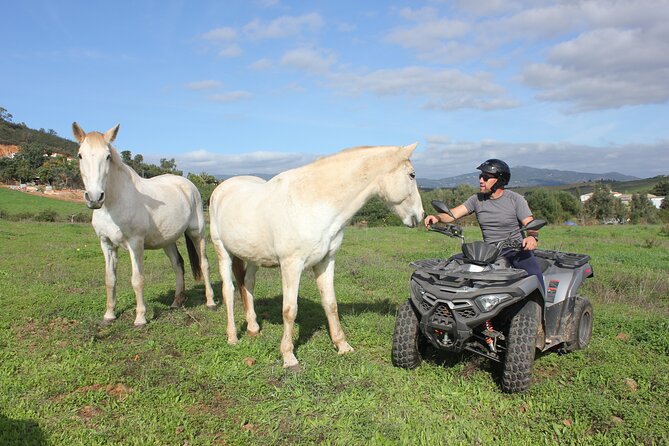 Algarve - The best views from Alvor to Ferragudo by ATV - José the guide: why the person matters on an ATV day