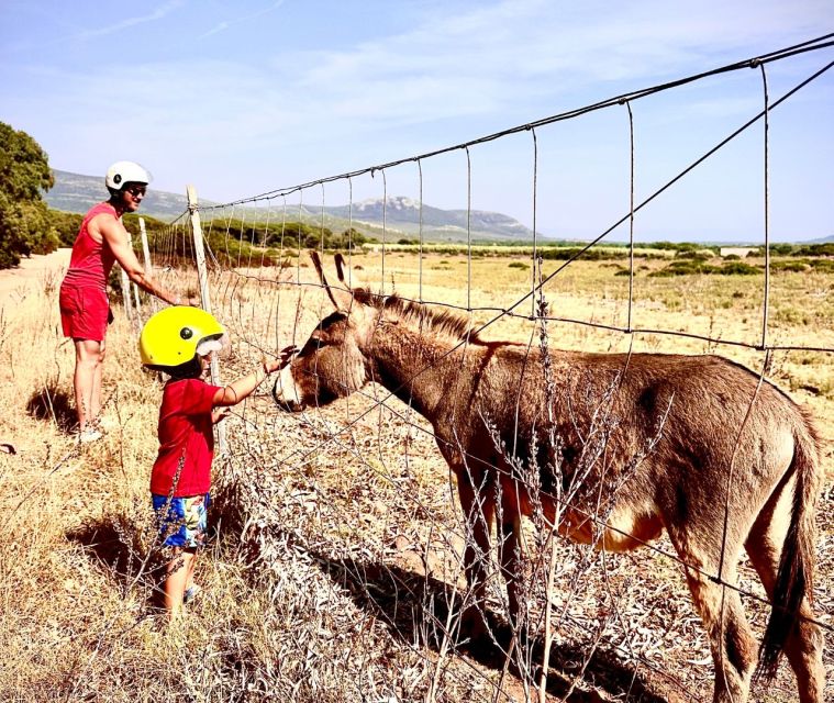 Alghero: Guided Quad Tour with Swim Stop - Honey Tasting at a Local Farm: A Sweet Reset From Off-Road Noise