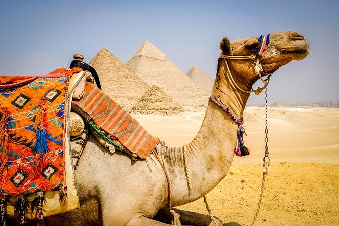 All INC- Pyramids,Camel Ride،(1 hour) four wheeler (ATV)& Lunch - Lunch at a local restaurant: included, but drinks are not