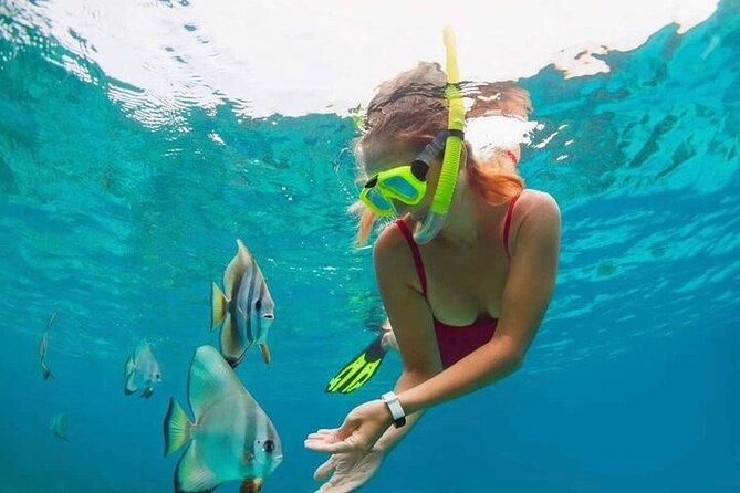 All Inclusive Blue Lagoon Snorkeling with Bali ATV Quad Adventure - Getting Started: Pickup from Seminyak and Driver Support