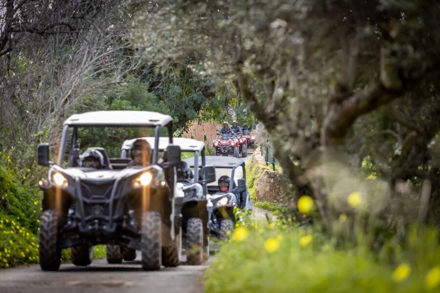 Almancil: Algarve Guided Off-Road Buggy Adventure - Safety briefing to buggy control: helmets, goggles, and the pace you’ll follow