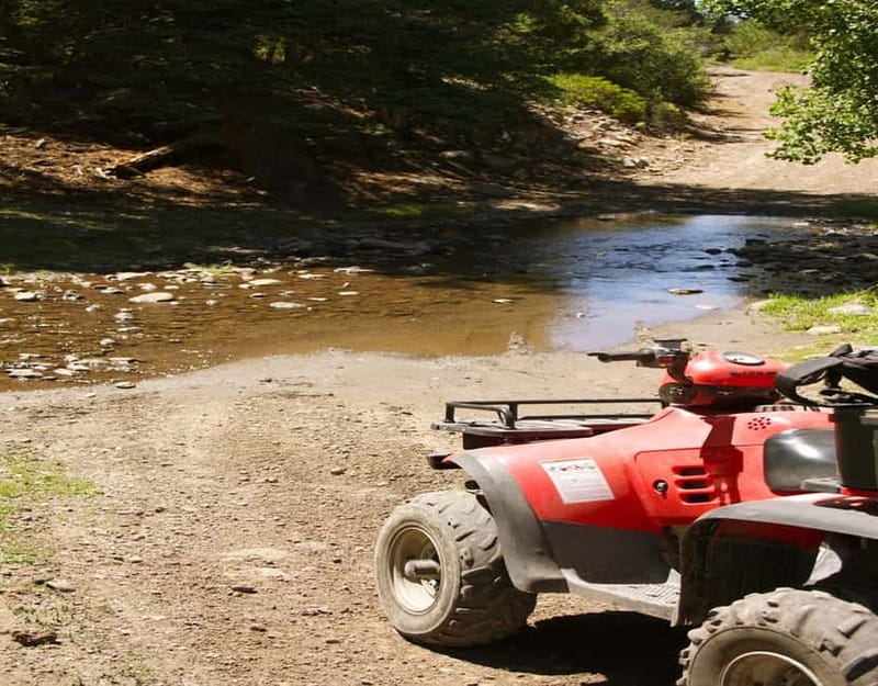 Antalya: Quad-Bike Excursion in Side Forest & Hotel Pick-Up - The 70 minutes on the quad: what it feels like when the ride gets real