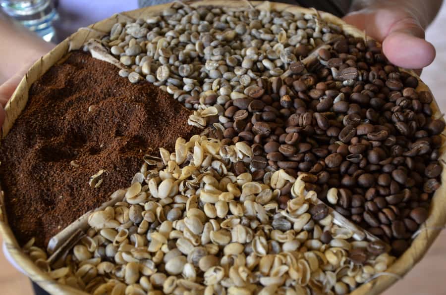 Antigua ATV Coffee tour - Who this tour suits best (and who should skip it)