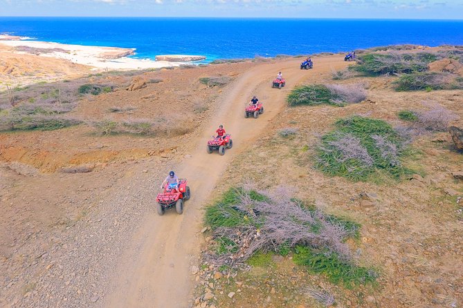 Aruba ATV Adventure: Off-Road Tour in Single and Double Seaters - Key Things You’ll Notice Right Away