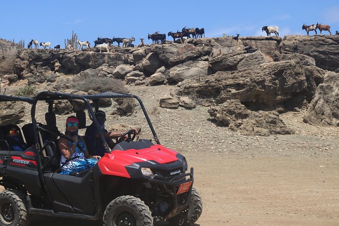 Aruba UTV, ATV Adventure to Secret Beach and Cave Pool - Cave Pool Aruba and cliff jumping: when the day turns into water time
