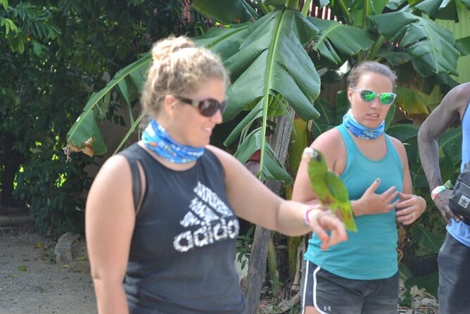 ATV 4 wheel from Amber Cove & Taino bay port silver Cruise port - Guides and Vibe: Personal Service Matters on ATV Tours