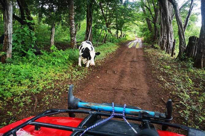 ATV adventure from Riu, Secrets and papagayo - Two Hours of Guanacaste: What the Route Usually Brings