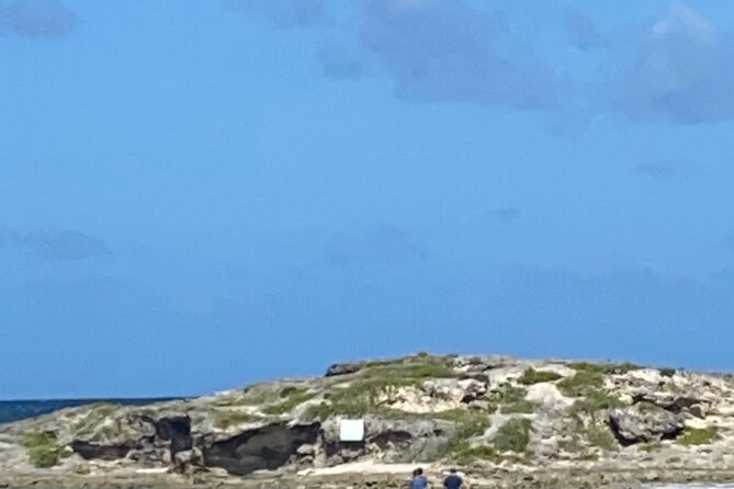 ATV and Boogie Guided Tour in Sint Maarten - Price and logistics: getting $160 worth of island time