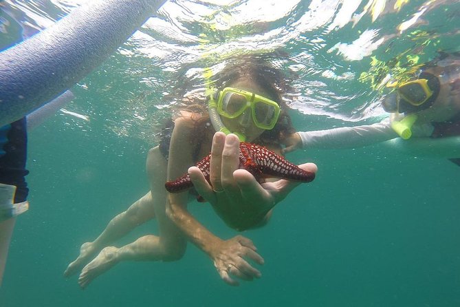ATV and Snorkel from Playa Flamingo - Key Things I’d Put on Your Radar