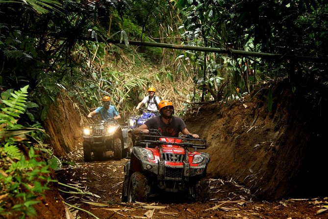 ATV Combo Horseback Riding, ATV, Ziplines, Cenote and Lunch - Cenote Swim: Sacred Water and a Welcome Reset