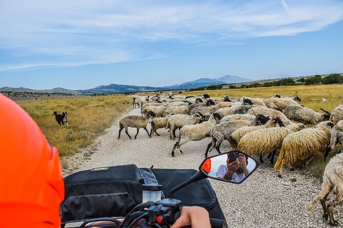 ATV Dinara Mountain tour with picnic - Included photos, honey tasting, and snacks that don’t feel like an afterthought