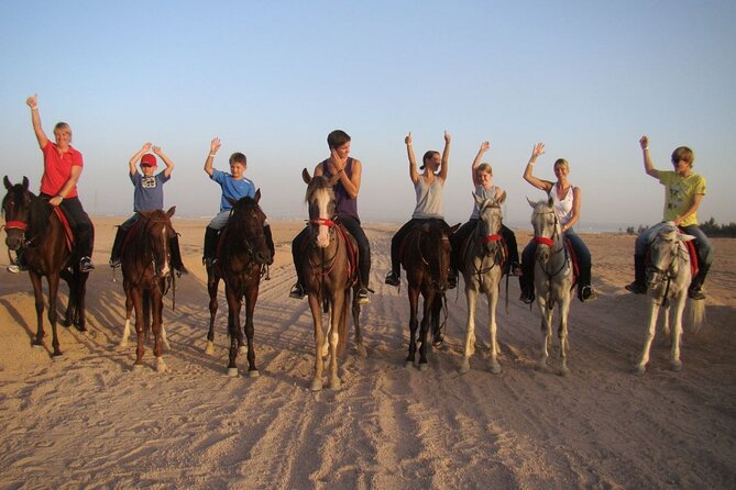 ATV horse stargazing - Key highlights at a glance