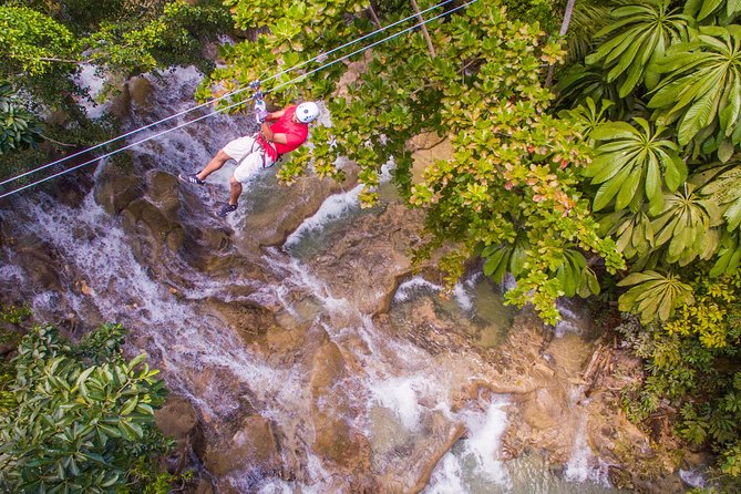 ATV, Horseback Ride, Zipline, Falls Climb + Lunch from Ocho Rios - Lunch, vehicles, and the group size reality check