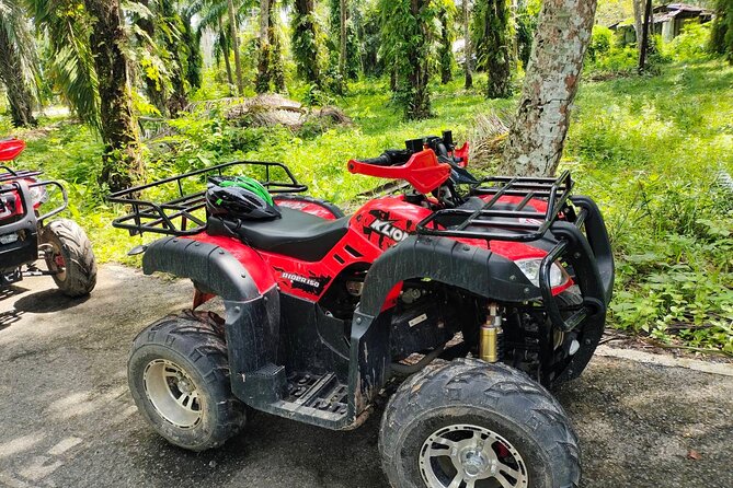 ATV Jungle Adventure in Krabi with Roundtrip Transfer - The Photo Stops and the “More Than Just Riding” Moments