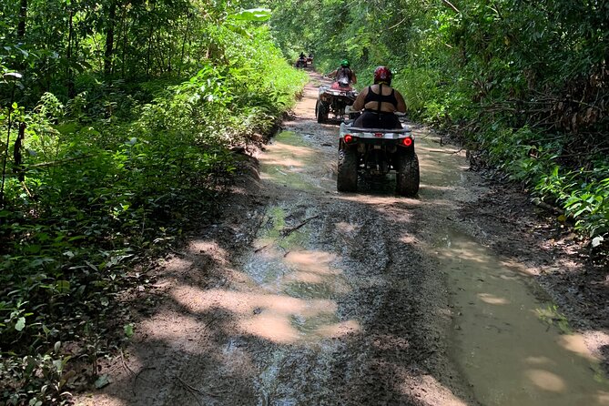ATV Jungle Safari Tour from Montego Bay - Price and value: what $125 buys you