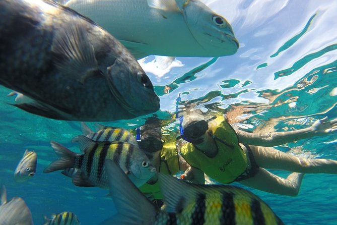 ATV Mud Kicking and Snorkeling by Boat in Cozumel - Lunch, Open Bar, and the Tortugas After-Party
