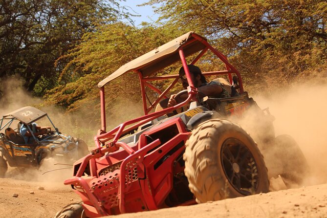 ATV Off Road Adventure - Quick reasons this ATV tour works