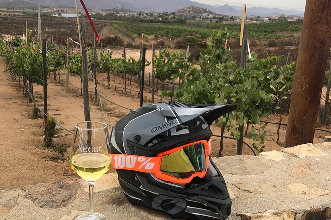 ATV Off-Road Adventure through Valle de Guadalupe + Winery Visit - The guided backcountry ride: where the views really happen