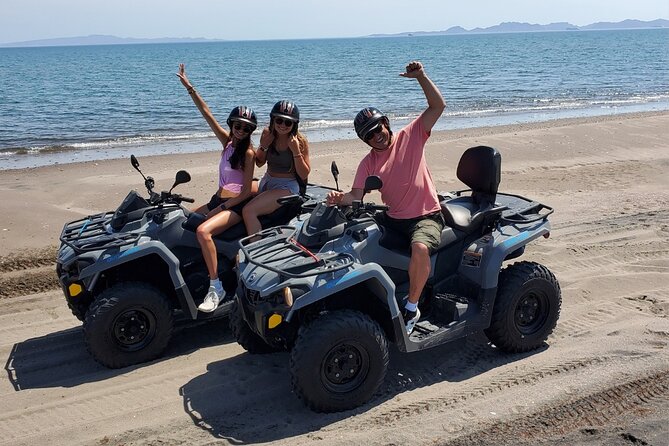 ATV Off-roading + sandboarding Tour in La Paz - Your main stop at Dunas del Mogote: dunes, scale, and the marine-protection story