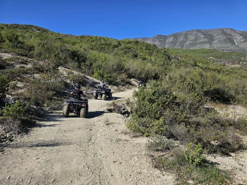 Atv Quad Adventure Berat - Hills of Olives: higher views, olive groves, and a scenic shift