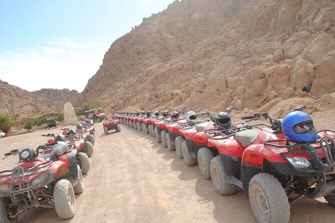 ATV Quad, Bedouin Tent with Tea Sharm El Sheikh - Who this quad-and-tea tour suits best
