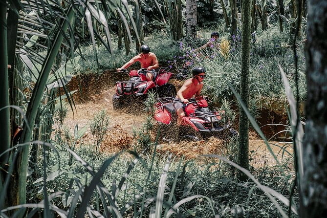 ATV Quad Bike Bali with Waterfall Gorilla Cave and Lunch - Price and value at about $32.38 per person