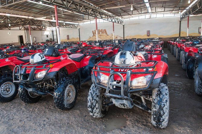 ATV Quad Bike Ride Safari and Camel Ride With Transfer - Hurghada - Bedouin Village Stop: Tea, Shisha, and Culture Time