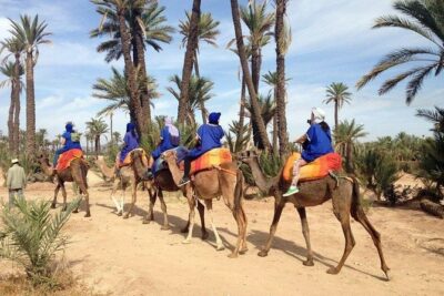 ATV Quad biking in Marrakech desert palmgrove - Pickup, group size, and the small details that affect comfort