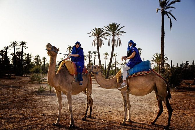 ATV Quad biking in Marrakech desert palmgrove - Who this Marrakech ATV quad ride suits best