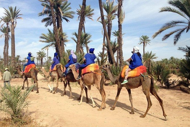 ATV Quad biking in Marrakech desert palmgrove - Pickup, group size, and the small details that affect comfort