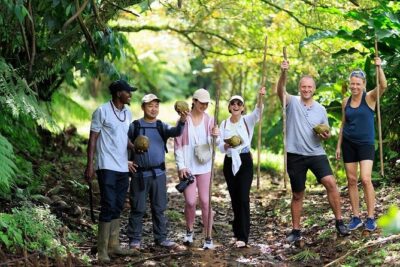 ATV Rainforest Adventure in St. Lucia - The ATV Route: Rainforest, Farmlands, River Crossing, Beach Views