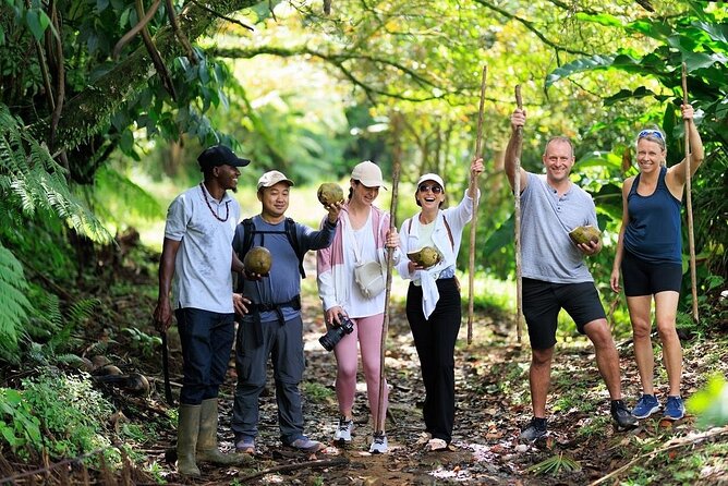 ATV Rainforest Adventure in St. Lucia - The ATV Route: Rainforest, Farmlands, River Crossing, Beach Views